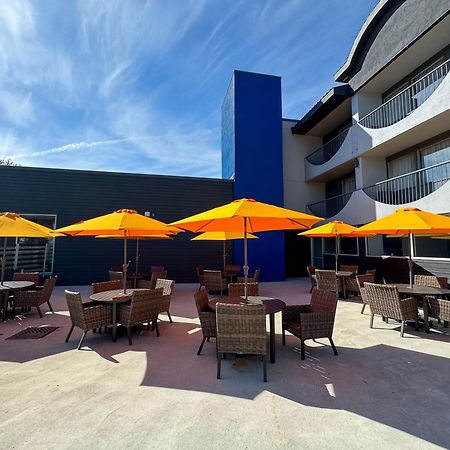 Comfort Suites Kingston Central 외부 사진